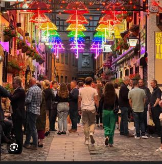 New prime city center 2 bedroom 2 bath duplex apartment with free secure parking - 7