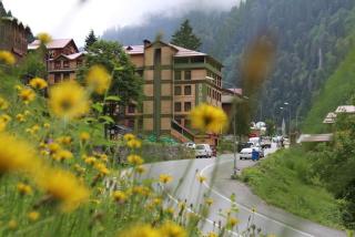 Ayder Hotel - 0