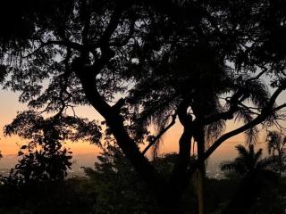 6A on Redwood Guest House in Durban North - 9