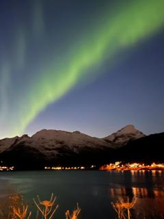 My Home Kaldfjorden - 0