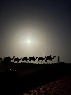 Sahara Luxe Camp - 9