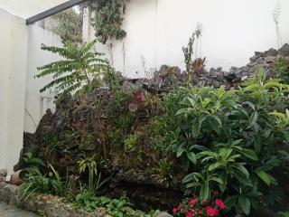 Hotel San Marcos Las Lajas - 5