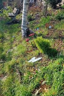 Countryside Caravan Retreat - 7