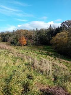 Countryside Caravan Retreat - 9