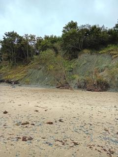 Countryside Caravan Retreat - 1