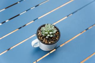 Gran Hogar Chic I 8 min de los remontes con balcón - 1