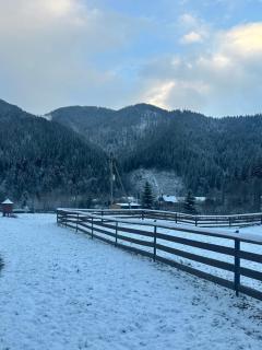 Pink House Karpaty - 9