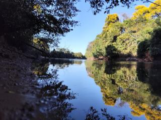 Rancho do tucano - 2