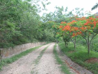 cabañas Alto de Monaco - 1