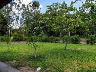 Rancho do tucano - 4