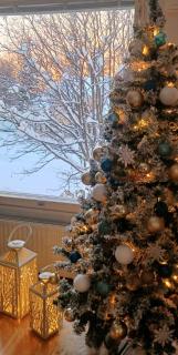 Cozy apartment with sauna and free parking - 2