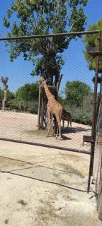 Residence Carmen - 8