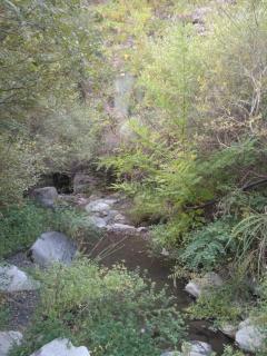 Casa del Agua- Escapada rural con chimenea y vistas a Sierra Nevada - 2