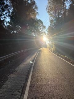 Sanchi's Homestay 2BHK - 9