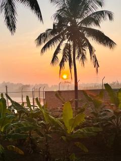 Aloha farms- By the lake - 7