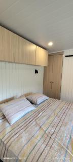 Hermosas cabañas nuevas en un campo de limones - 2