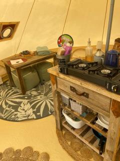 Secluded Bell Tent Nestled in the Pines in Duchesne, Utah - 8