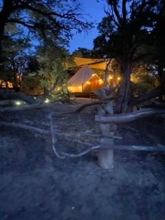 Secluded Bell Tent Nestled in the Pines in Duchesne, Utah - 3