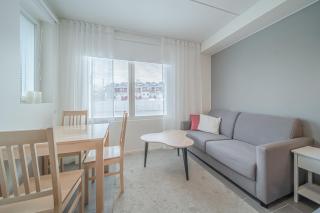 Sisu Stay Studio Jetset Levi - 8