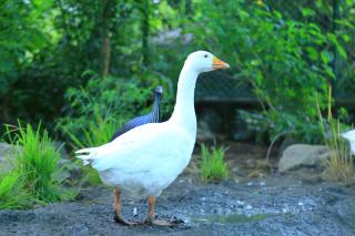 Arra Fishing Lodge - 3