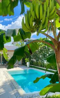 Luxury LIONS VILLAS ZANZIBAR - with Private Cook&Infinity Pools - 8