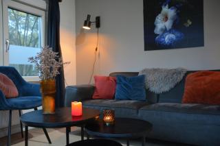 Tiny cabin in bosrijke omgeving de Veluwe - met terras, tuin en fietsschuurtje - 3