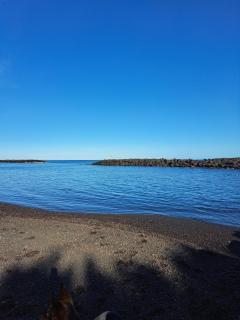 El jardin de Valle de Guimar - 9