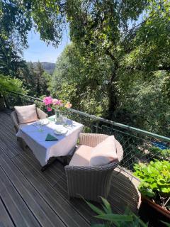 Altstadt Elegance - 0