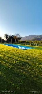 Cabañas nuevas en un campo de limones - 7