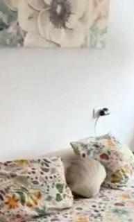 SIERRA NEVADA 2 HABITACIONES PRADOLLANO ZONA MEDIA BAJA - 2