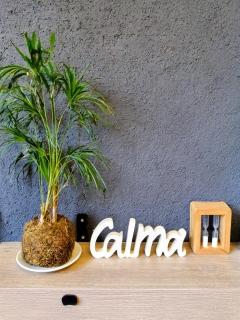 Plaza Independencia - 7