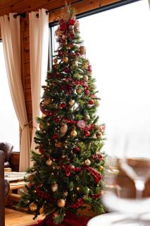 Epic Mountain Views, Hot Tub, Game Room, Sleeps 10 - 4