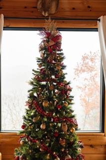 Epic Mountain Views, Hot Tub, Game Room, Sleeps 10 - 5