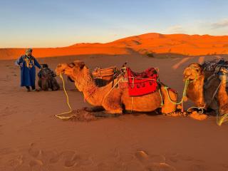 Merzouga Nizar Camp - 0