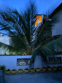 Amani Guest House Lamu - 9