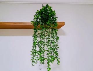 Seu Espaço Charmoso em Brasília - 8