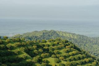 Refugio Serrano en la Sierra Nevada de Santa Marta - Ciénaga - 2