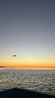 Santa Ana - Casa Cardon - 9