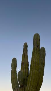 Santa Ana - Casa Cardon - 3