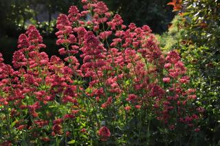 Gite SEINE EN VUE standing, panorama et climatisation - Bois-Guillaume - 9