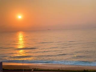 Oceana Marginella - 0