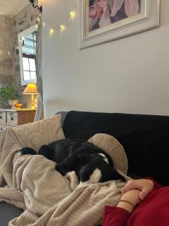 Le Cordonnier d'Autrefois - 15 minutes du Puy du Fou - 8