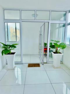 Oceana Marginella - 9