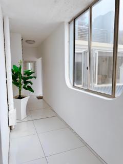 Oceana Marginella - 8