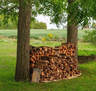 Cozy 2BR Chalet on Lake Erie - 4
