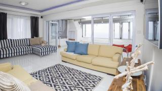 Oceana Marginella - 3