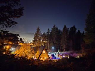 Vikendica Villa Marija Pale - 6