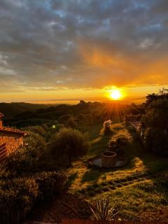 Podere la Svolta - 9