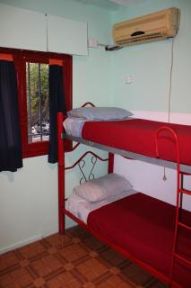 The Grapevine Hostel - 3