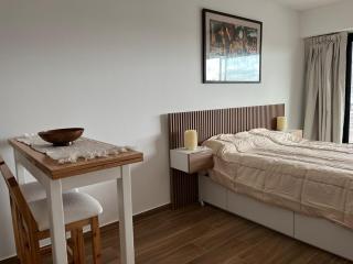 High-class studio flat in downtown Buenos Aires - 9